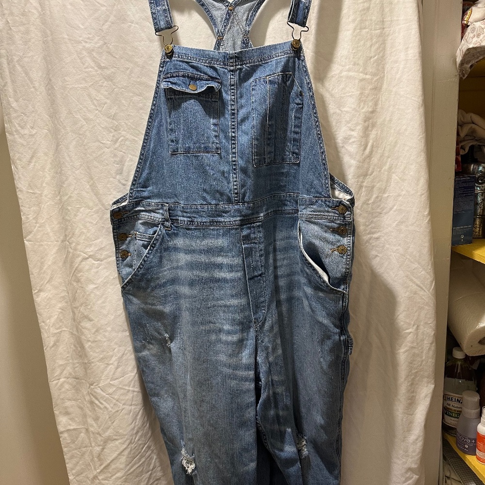 Anthropologie Pilco Jean Overalls 22w